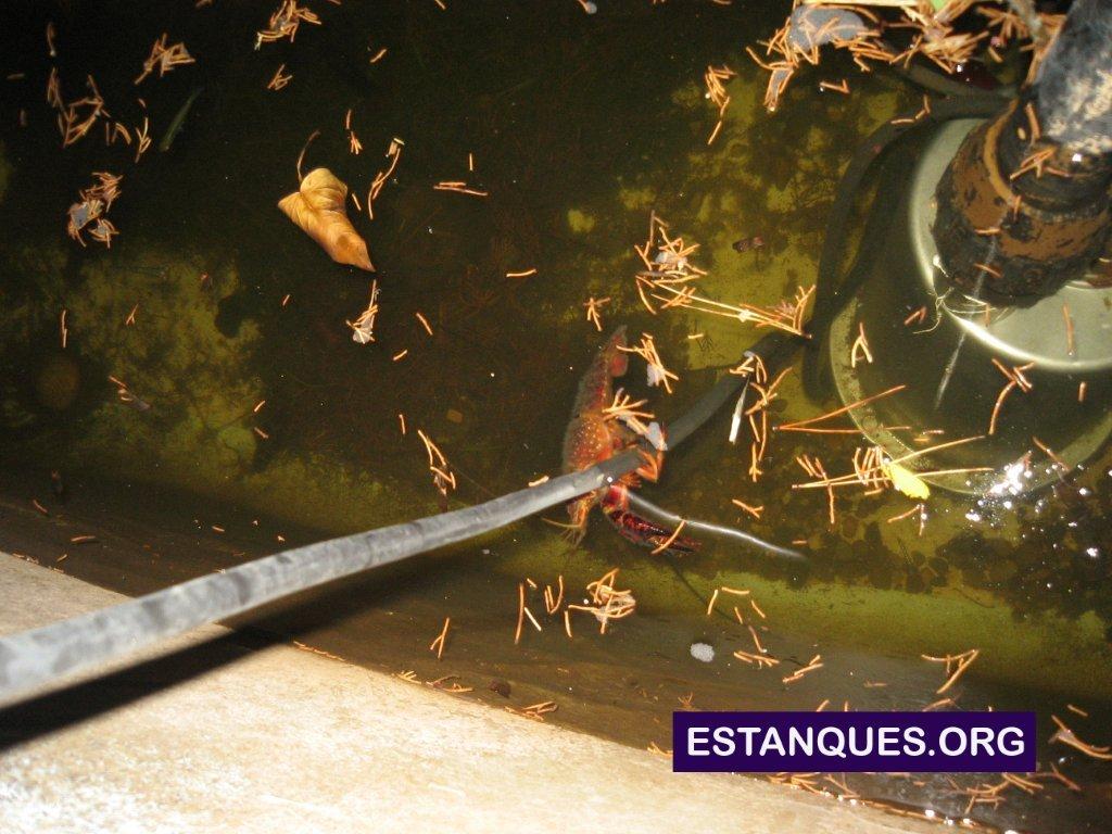 fotos estanque deposito