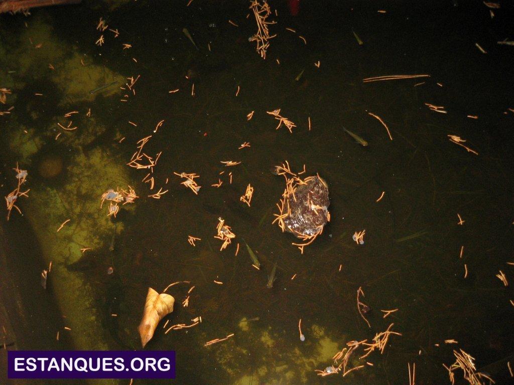 imagenes deposito agua