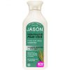 Champu 84% Aloe vera JASON (480ml)