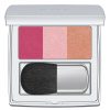RMK Color Performance Cheek Blusher - 02