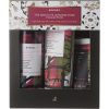 Korres Absolute Japanese Rose Coleccion
